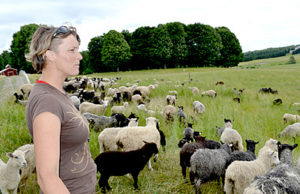 Laurel Banks looks on as her flock grazes on grass that is healthy and nutritious due to the Shepherd Craft Farm’s practice of rotational grazing. (Abigail Adams photo)