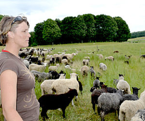 Laurel Banks looks on as her flock grazes on grass that is healthy and nutritious due to the Shepherd Craft Farmâ€™s practice of rotational grazing. (Abigail Adams photo)