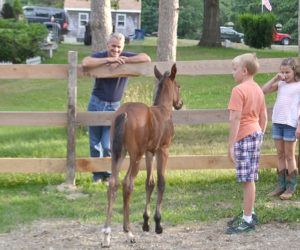 David Cronk's new colt, Ozzie, greets family members in his private paddock. From left: David Cronk and twins Otto and Ophelia Martin. (Charlotte Boynton photo)