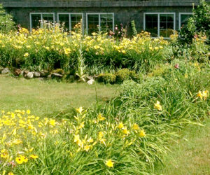 The church flower beds are in full bloom despite the dry summer. (Photo courtesy Doug Wright)