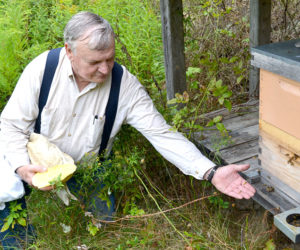 Ray Shadis sits with his honeybees at the apiary on his farm in Edgecomb on Friday, Aug. 26. (Abigail Adams photo)