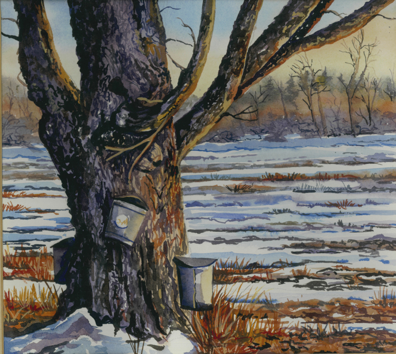 Pamela Allen's Â“Sap Season"