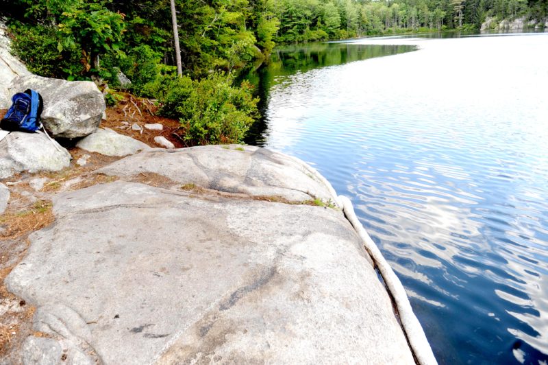 The shore of Peter's Pond in Waldoboro, where someone dumped tar or a tar-like substance, prompting a state-led cleanup effort. (Paula Roberts photo)