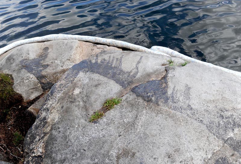 A black stain remains on the rocks at Peter's Pond where someone dumped driveway sealant or roofing tar. Absorbent booms are in place to protect the water. (Paula Roberts photo)