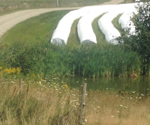 The hay is in at Russell's farm in North Newcastle. (Photo courtesy Doug Wright)