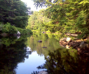 The author's swimming hole on the Sheepscot River. (Photo courtesy Doug Wright)