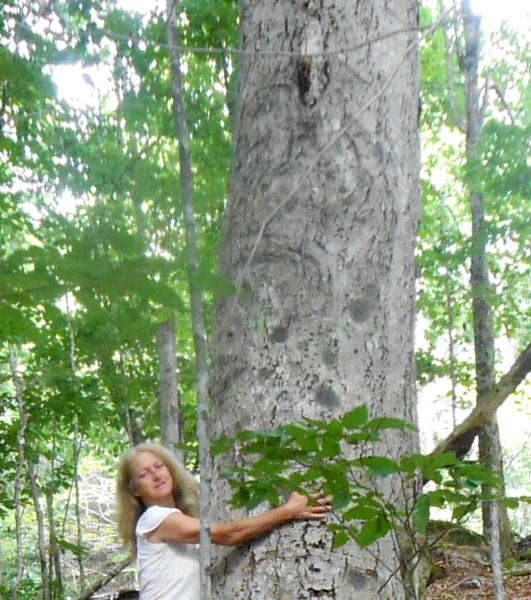 The author with a large beech tree on her property. (Photo courtesy Mary Throckmorton)