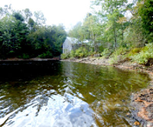 Low water at Turner Mill Pond. (Photo courtesy Mary Throckmorton)