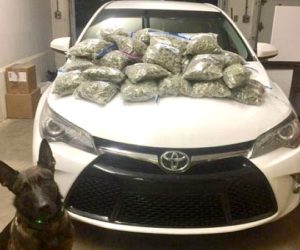 New Hampshire State Police K-9 Gauge with the 20-plus pounds of marijuana he sniffed out in a car occupied by two Waldoboro men in Portsmouth, N.H. on Tuesday, Oct. 4.