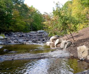 Trees were planted at an angle at the site of the former Northy Bridge on Howe Road in Whitefield to provide shade and cool the water for the fish in the West Branch of the Sheepscot River. (Abigail Adams photo)