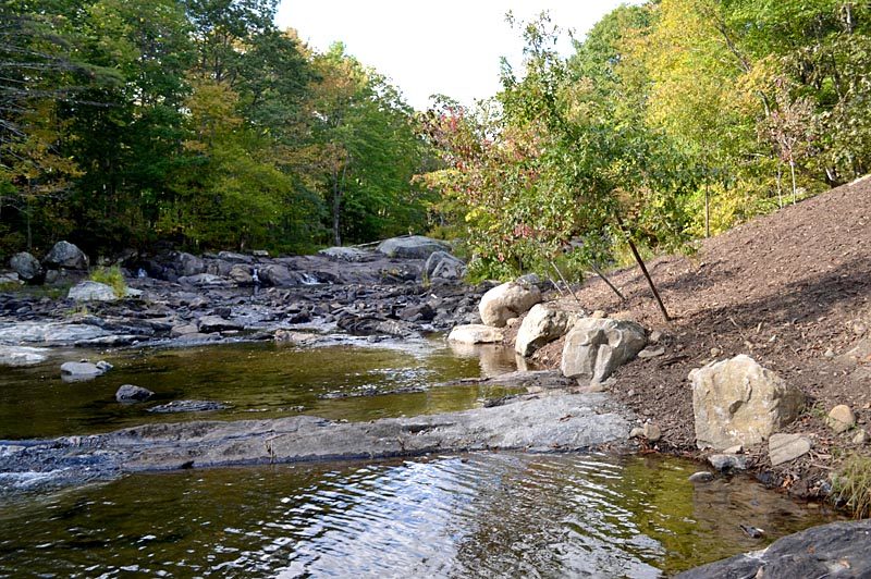 Trees were planted at an angle at the site of the former Northy Bridge on Howe Road in Whitefield to provide shade and cool the water for the fish in the West Branch of the Sheepscot River. (Abigail Adams photo)