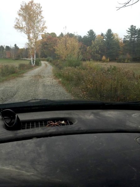 Roadside bushes (Photo courtesy Doug Wright)