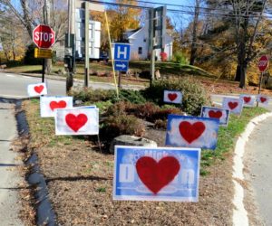 Campaign signs bearing hearts in the traffic island at the intersection of Academy Hill Road, Main Street, and Mills Road in Newcastle the morning of Thursday, Nov. 10. (Photo courtesy Chris Johnson)