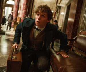 Eddie Redmayne stars in the new Harry Potter spin-off by J. K. Rowling, "Fantastic Beasts and Where to Find Them," now playing at The Harbor Theatre, Boothbay Harbor.