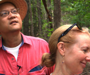 Musician, psychiatrist, and folk dancer Clark Wang prepares for his natural burial while battling lymphoma in "A Will for the Woods."