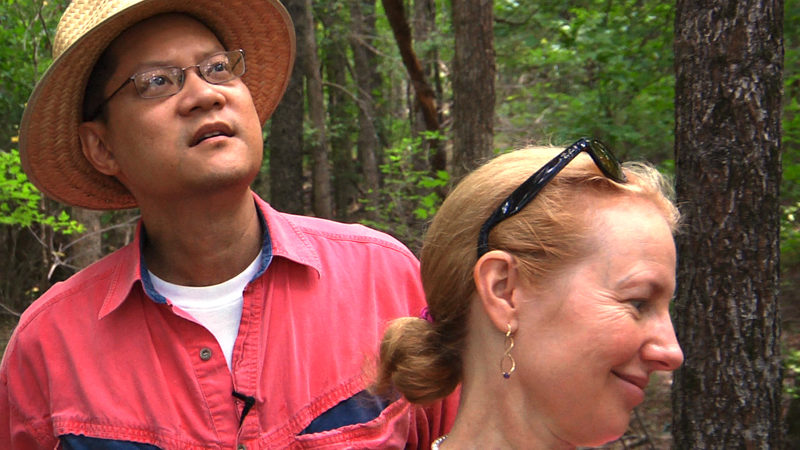 Musician, psychiatrist, and folk dancer Clark Wang prepares for his natural burial while battling lymphoma in "A Will for the Woods."