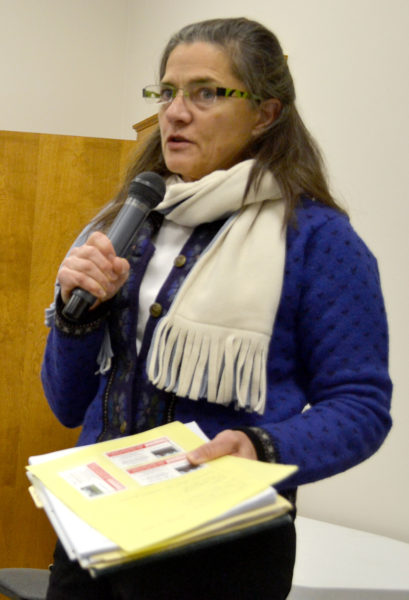 Stepping Stone Housing Inc. Executive Director Marilee Harris discusses the nonprofit's plan for the Blue Haven property during a public hearing at the Damariscotta town office Monday, Dec. 5. (Maia Zewert photo)