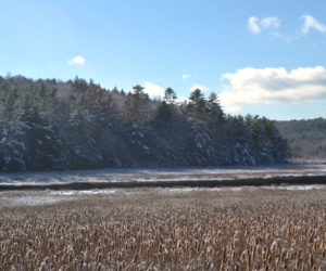 A view of Sherman Marsh in Newcastle. Maine Transportation Commissioner David Bernhardt will attend the Monday, Dec. 12 meeting of the Newcastle Board of Selectmen to discuss the Maine Department of Transportation's Sherman Marsh Wetland Bank project. (Maia Zewert photo)