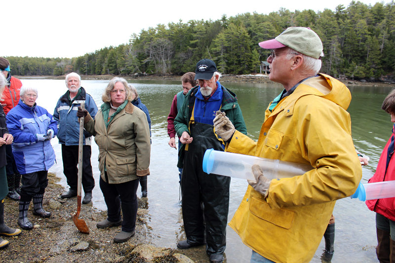 Midcoast Stewards program participants explore intertidal flora and fauna with marine geochemist Dr. Larry Mayer at the University of Maines Darling Marine Center in 2015.