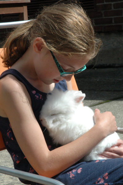 Alice Skiff holds one of the Great Salt Bay Community School agriculture club's rabbits in the courtyard of the school in September 2015. (Maia Zewert photo, LCN file)