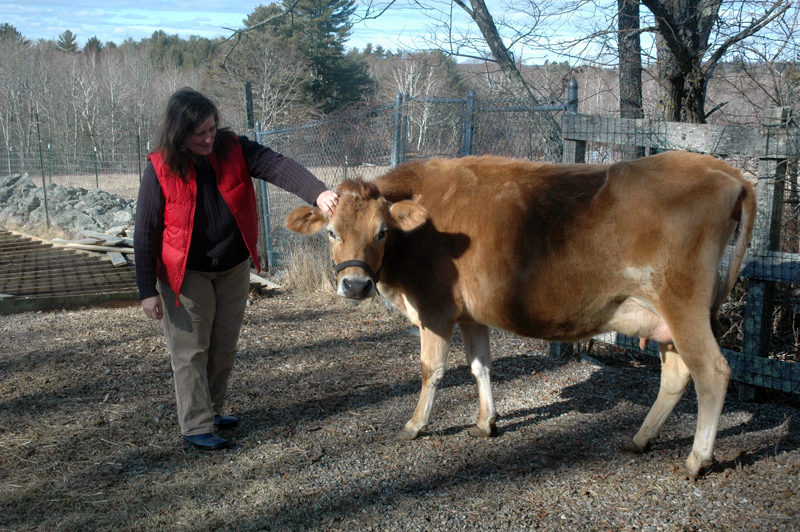 Allison Lakin with Darla at East Forty Farm and Dairy. (Alexander Violo photo)