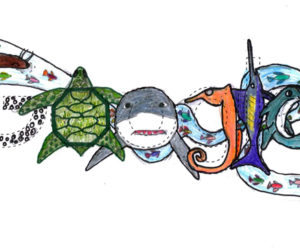 Medomak Middle School seventh-grader Ruth Havener won the Doodle 4 Google statewide competition with "The Same Ocean in the Future."