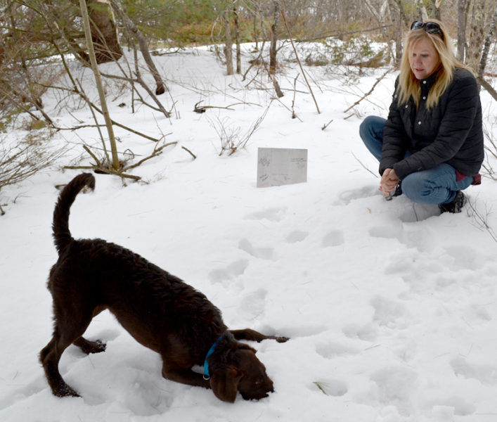 Jan Burns visits the grave of Snickers, who was lost in the October 2016 fire at the Freedom Center in Dresden, with her new puppy, Sasha, on Friday, March 24. Sasha is Snickers' sister. (Abigail Adams photo)