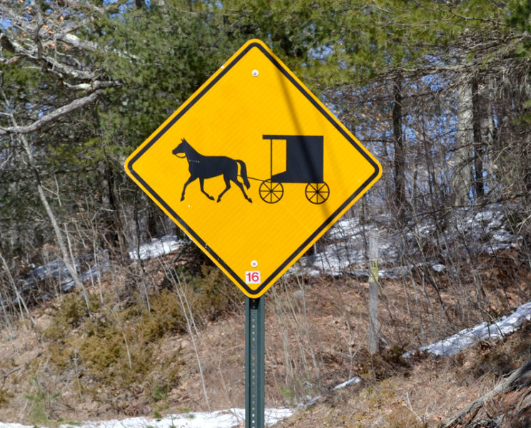 A sign on Route 218 in Whitefield cautions motorists to be aware of horse-and-buggy traffic. (Abigail Adams photo)