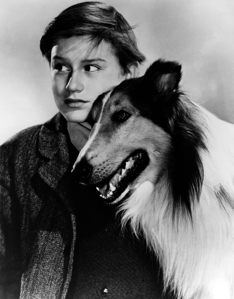 A promotional shot for the classic 1943 movie Lassie Come Home, starring Roddy McDowall.