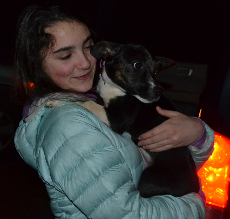 Casey Nelson holds Violet, the puppy her family will foster. The Nelsons, of Damariscotta, volunteer with Underhound Railroad, a nonprofit orgainzation that provides forster homes for dogs rescued from high-kill shelters. (Maia Zewert photo)