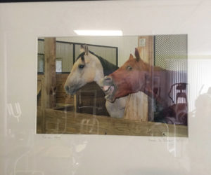 Newcastle photographer Anna Shaw's sense of humor is front and center in "Yin and Yang," a photograph of two horses -- one very serious and camera-shy, the other clearly a ham. The workout equipment at Shapers Fitness Gym, where this photograph is on exhibit, is reflected on the surface of the piece. (Christine LaPado-Breglia photo)