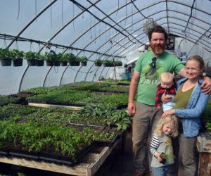 Morning Dew Farm owners Brendan McQuillen and Brady Hatch with their children, Everett and Clodagh McQuillen, stand in one of the greenhouses the farm is leasing at 49 Center St. in Damariscotta, the former home of Spencer's Greenery. (Maia Zewert photo)