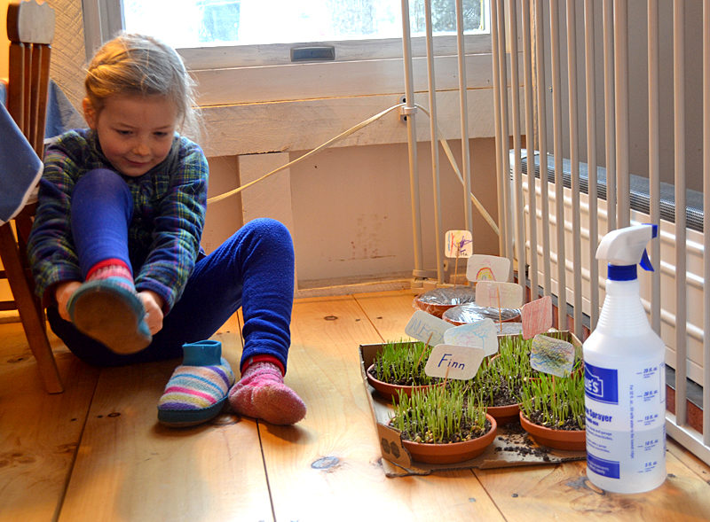 DAMschool1MZ2color The Lincoln County News