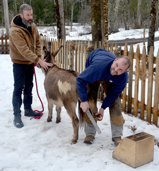 Adam Maltese (left) holds Stuart the donkey as Wiscasset farrier P.J. Fairfield trims the donkey's hooves at Little House School in Damariscotta. Students asked Fairfield questions about his work. (Maia Zewert photo)