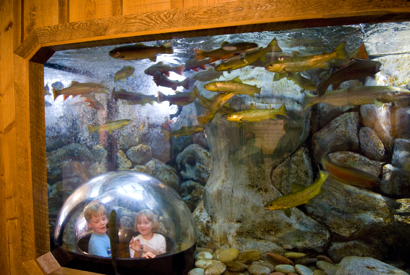 Children watch fish swim by in the Riverbed Aquarium, near the main entrance to L.L. Bean's flagship store in Freeport. The Newcastle office of Tenji Aquarium Design + Build designed the aquarium. (Photo courtesy Michael Richard)