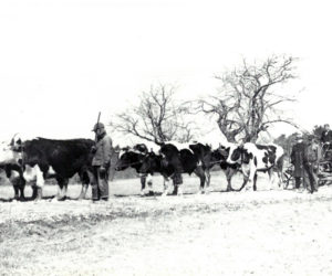 Ready to do roadwork in Newcastle, 1936.