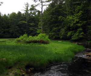 Geele Farm Preserve, along the Medomak River.