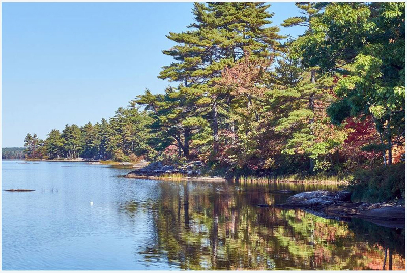 Pemaquid Pond Preserve in Bremen is a 29-acre waterfront parcel with a 1.9-acre island on Pemaquid Pond. (Photo courtesy Mike Kane)