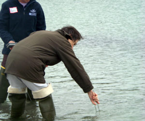 Learn water-quality sampling techniques at the Maine Healthy Beaches training on Thursday, May 25.