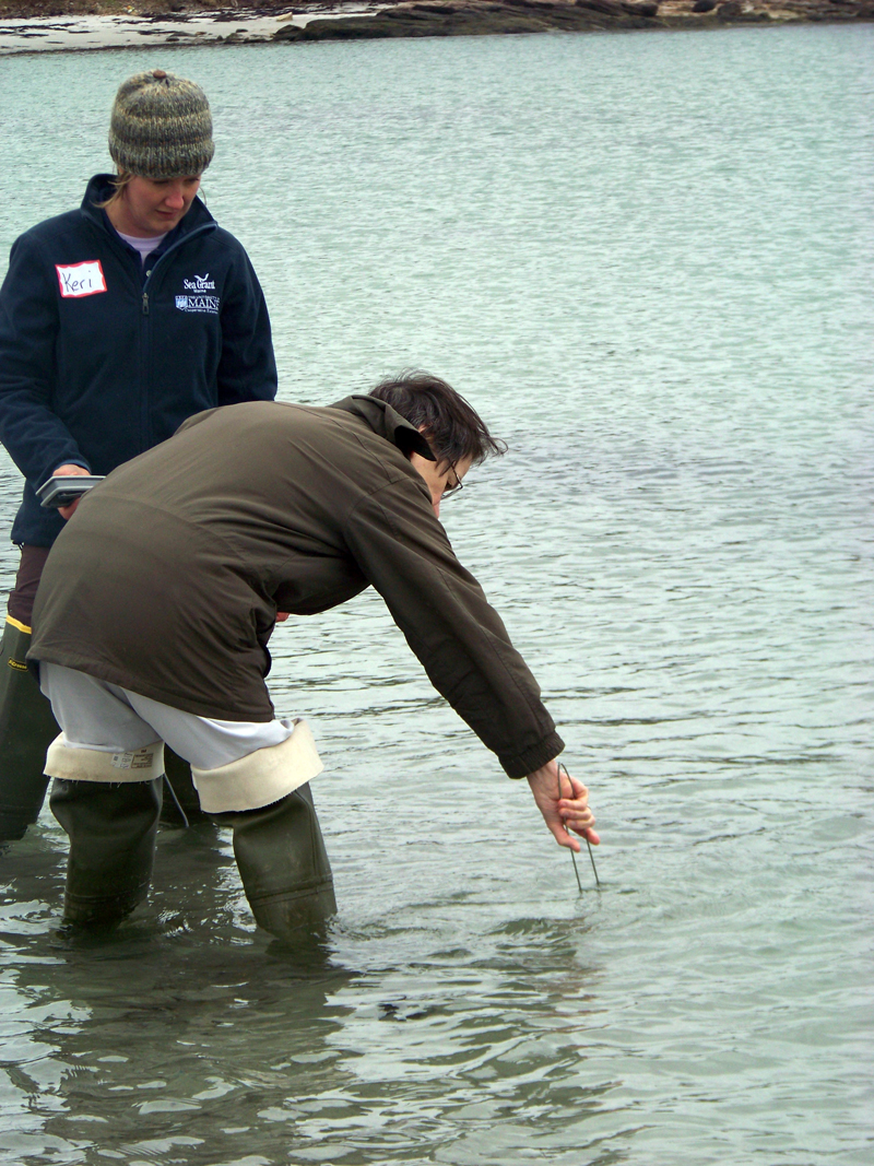 Learn water-quality sampling techniques at the Maine Healthy Beaches training on Thursday, May 25.