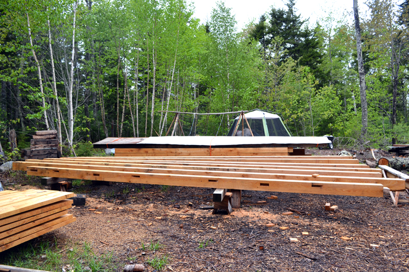 Lumber for one of Kenneth Kortemeier's personal projects on the grounds of the new Maine Coast Craft School. (Remy Segovia photo)