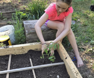 Hanna Perce, age 9, plants a vegetable garden at her home with assistance from LincolnHealth occupational therapist and master gardener volunteer Alan Littlefield.