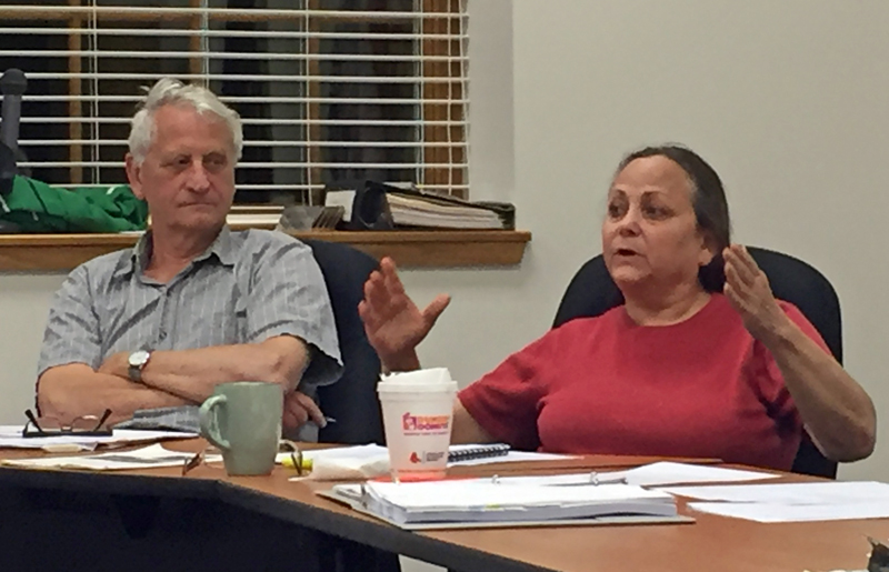 Damariscotta Planning Board member Shari Sage speaks in favor of a ban on graffiti and electronic signs as Town Planner Tony Dater looks on Monday, July 10. (Maia Zewert photo)