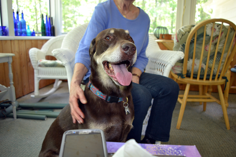 Jeter at home in Phippsburg. (Remy Segovia photo)