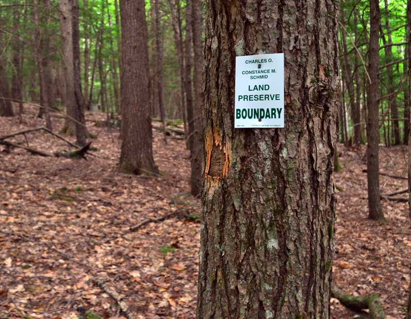 The marker between the Barrows Louderback Preserve and the Schmid Preserve in Edgecomb. (Abigail Adams photo)