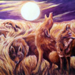 Coyote Art Exhibit at Midcoast Conservancy