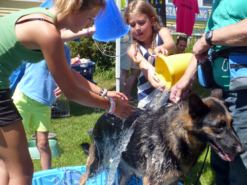 Two Salty Dogs Pet Outfitters, at 22 McKown St. in Boothbay Harbor, will hold its fifth annual Mutt Scrub on Saturday, July 29.