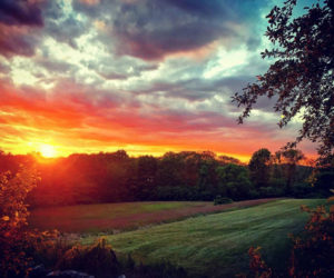 Lynn Rice Scozzafava's photo of a sunset in Damariscotta on July 9 received the most votes to become the seventh monthly winner of the #LCNme365 photo contest. Rice Scozzafava will receive a $50 gift certificate from Riverside Butcher Co., of Damariscotta, the sponsor of the July contest.