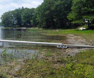 Jefferson resident Kelsie French's shoreline on Clary Lake in June shows the impact of the dropping water level. (Photo courtesy Clary Lake Association)