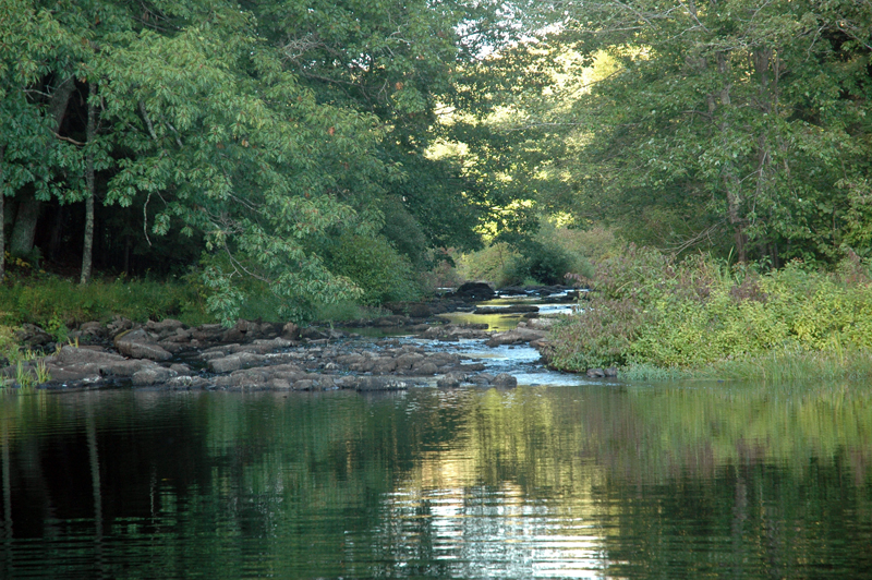 371Acre Riverfront Preserve Opens in Waldoboro The Lincoln County News